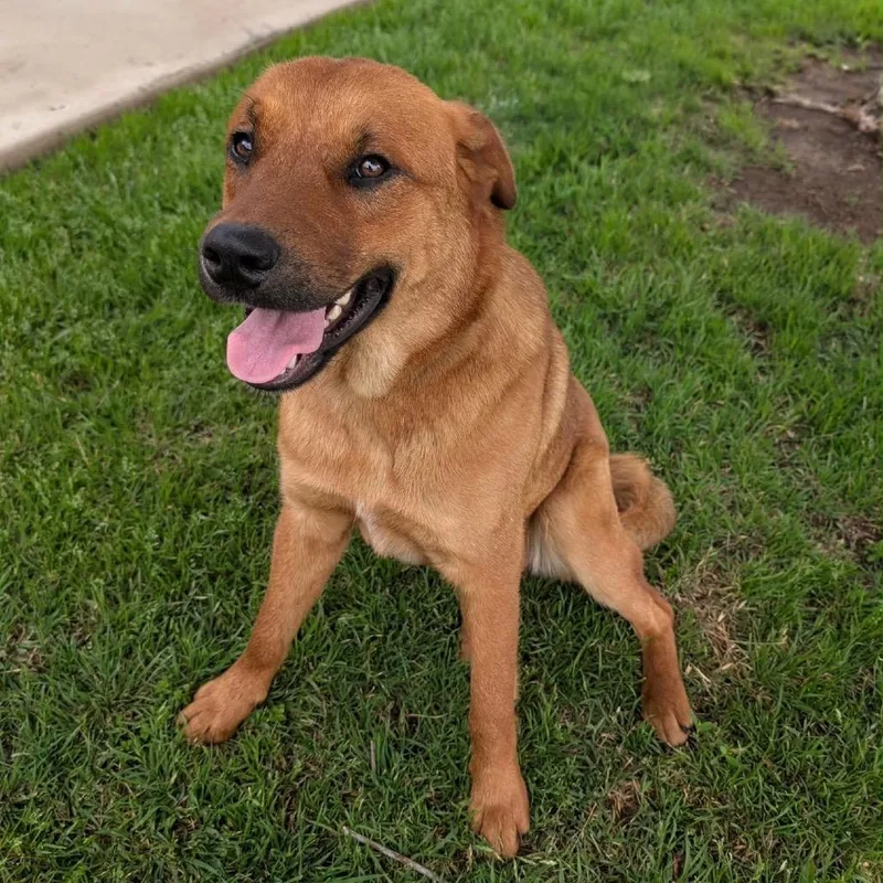 Ernie