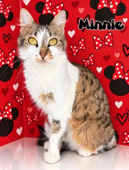Minnie thumbnail 2