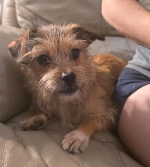 Lizzie thumbnail 3