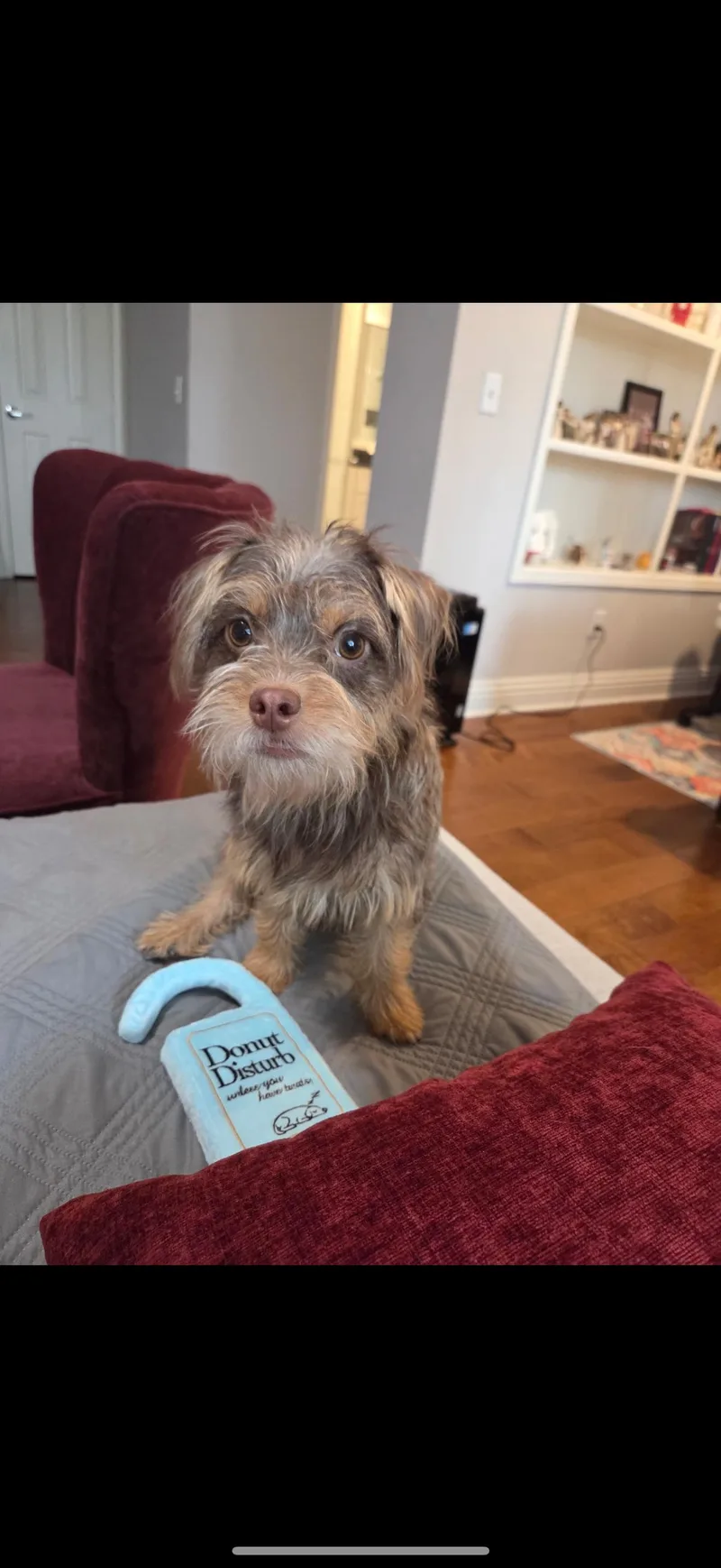 Pebbles And Porky  thumbnail 4