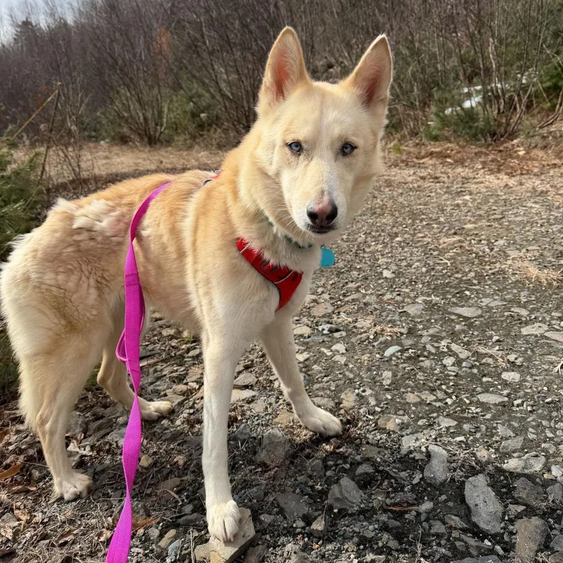 Charlotte thumbnail 2