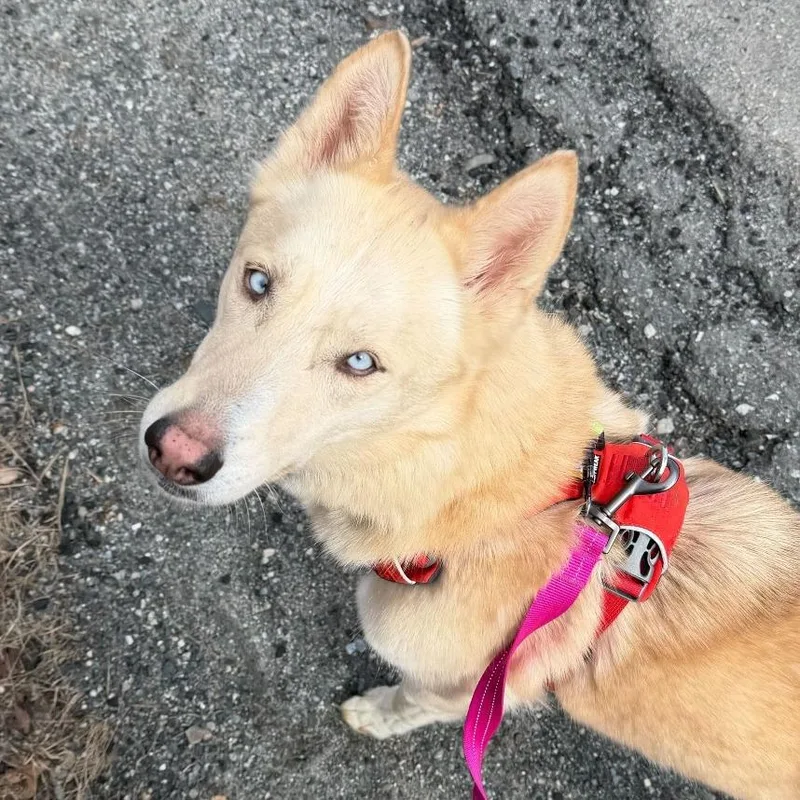 Charlotte thumbnail 3