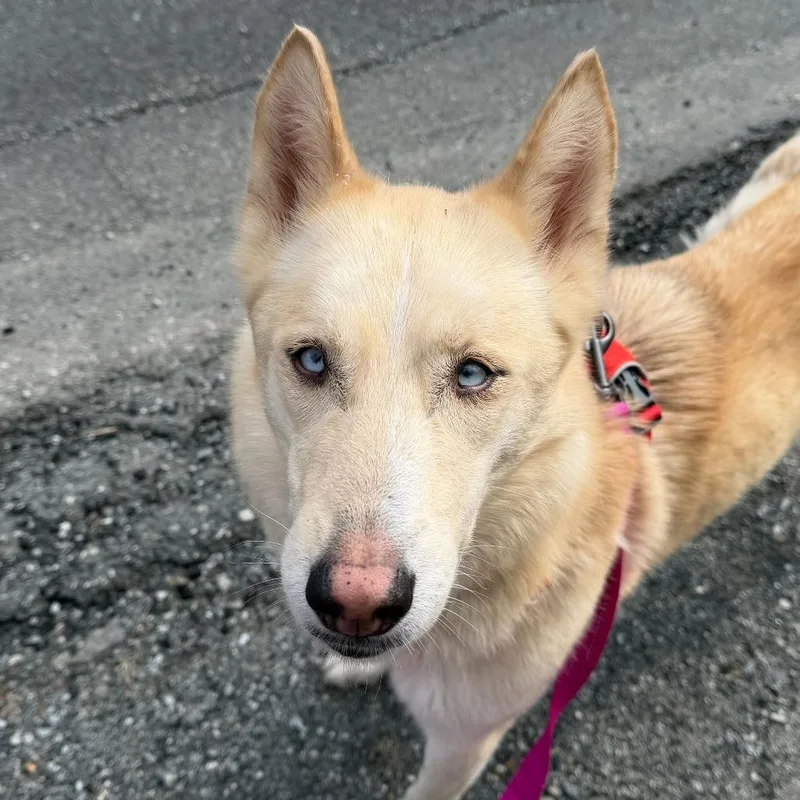 Charlotte thumbnail 4