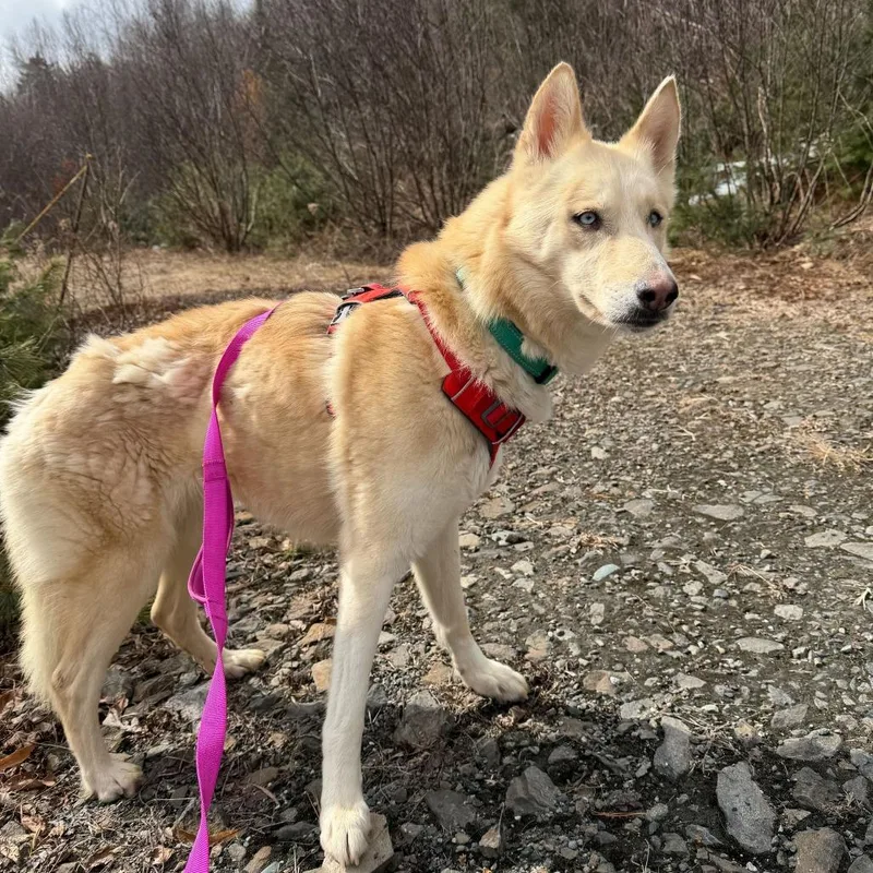 Charlotte thumbnail 5