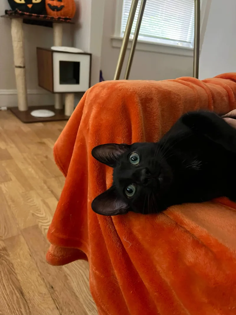 Bobby & Cindy thumbnail 2