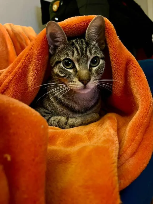 Bobby & Cindy thumbnail 5