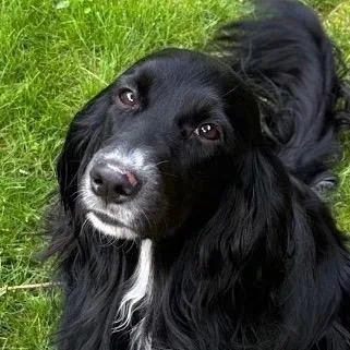 Maggie thumbnail 3