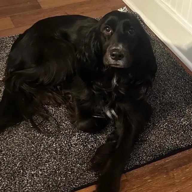 Maggie thumbnail 4
