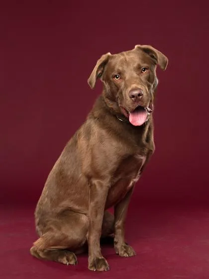 Cinnamon Crunch thumbnail 2