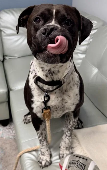 Beefcake thumbnail 2