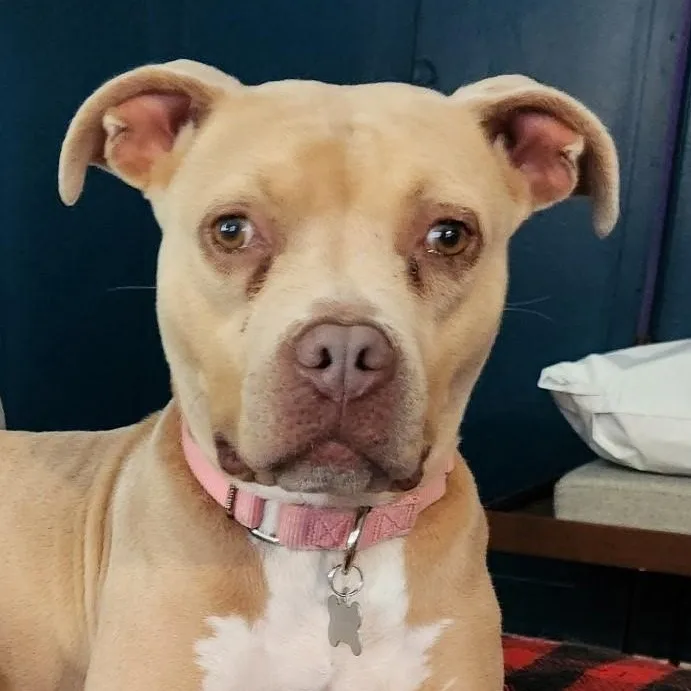 Lil’ Debbie thumbnail 3