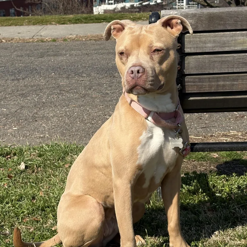 Lil’ Debbie thumbnail 4