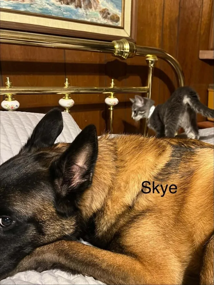 Skye thumbnail 3