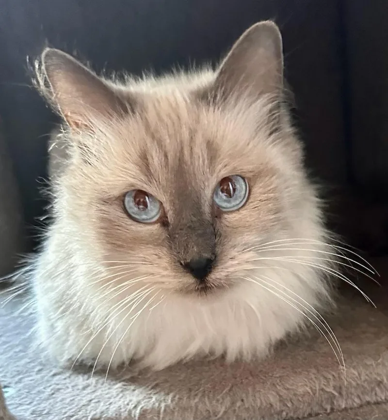 Beauty