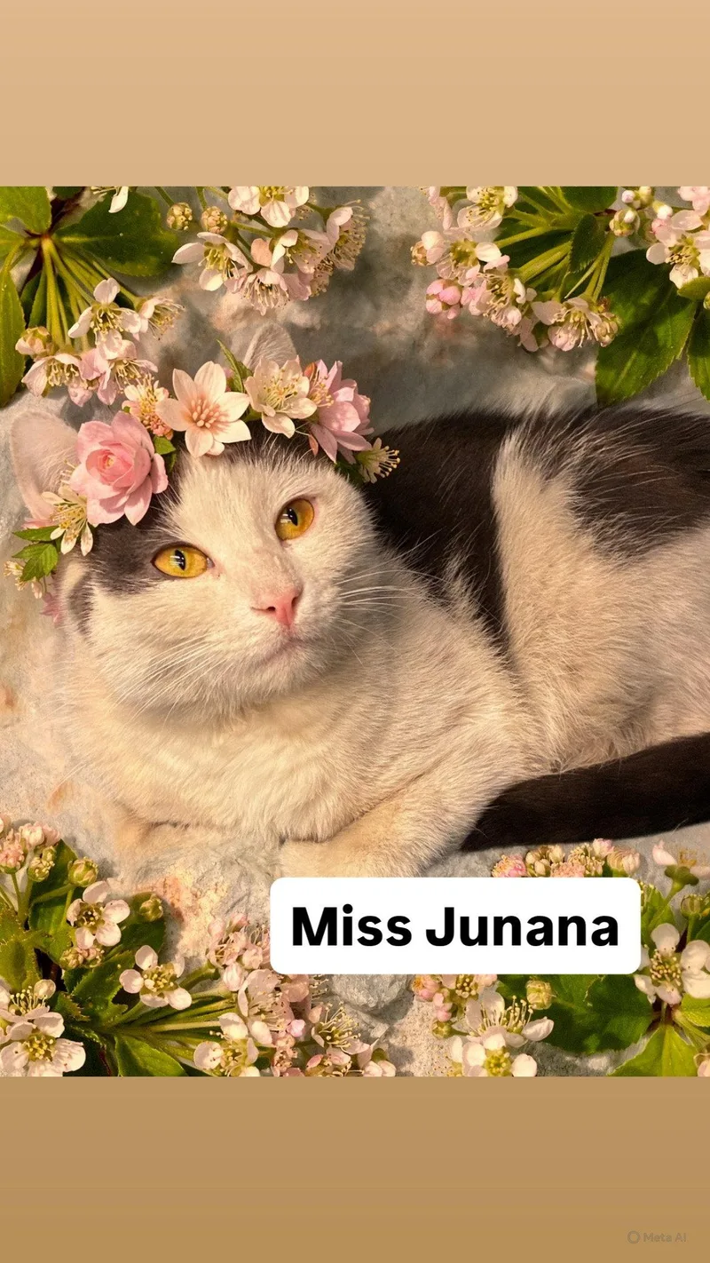Miss Junana At Martinez