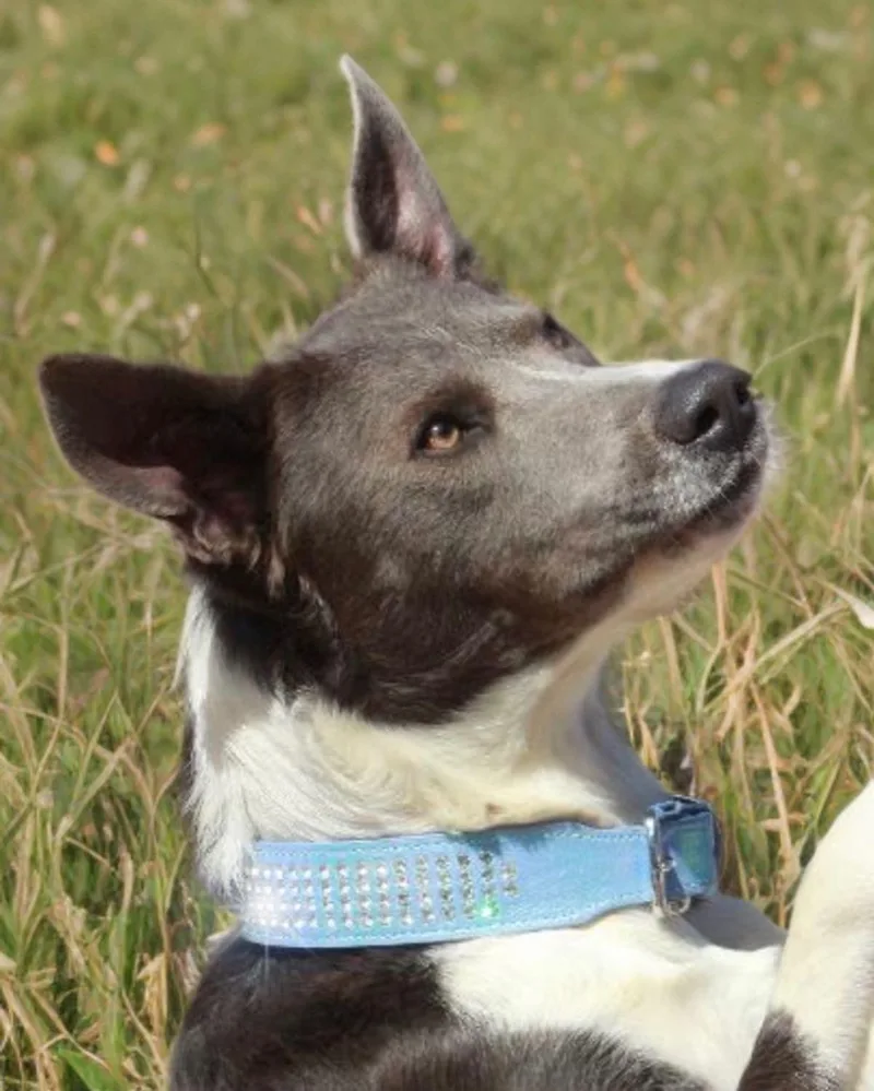 Heinekein thumbnail 2