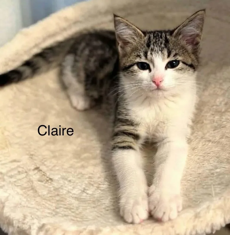 Kate and Claire thumbnail 2