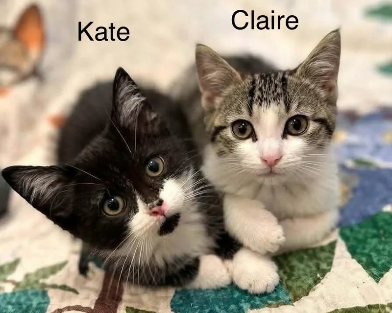 Kate and Claire thumbnail 3