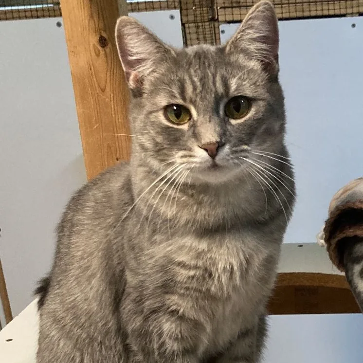 Molly Magee thumbnail 2