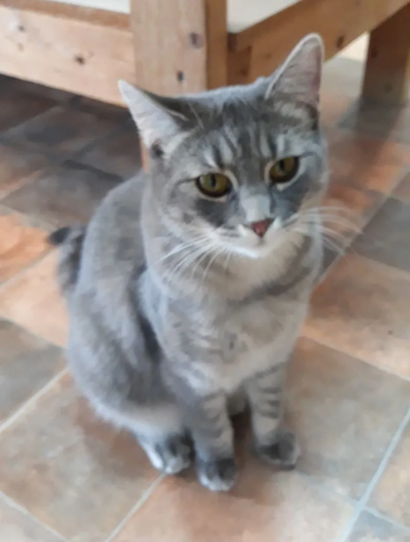 Molly Magee thumbnail 3