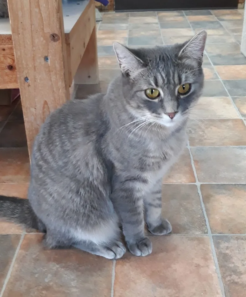 Molly Magee thumbnail 4