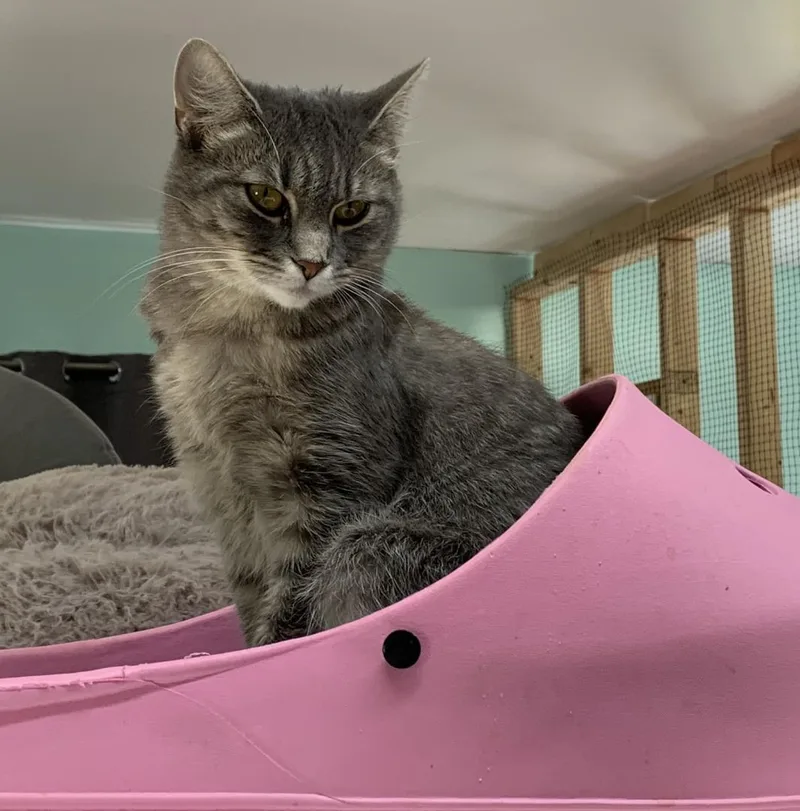 Molly Magee thumbnail 5