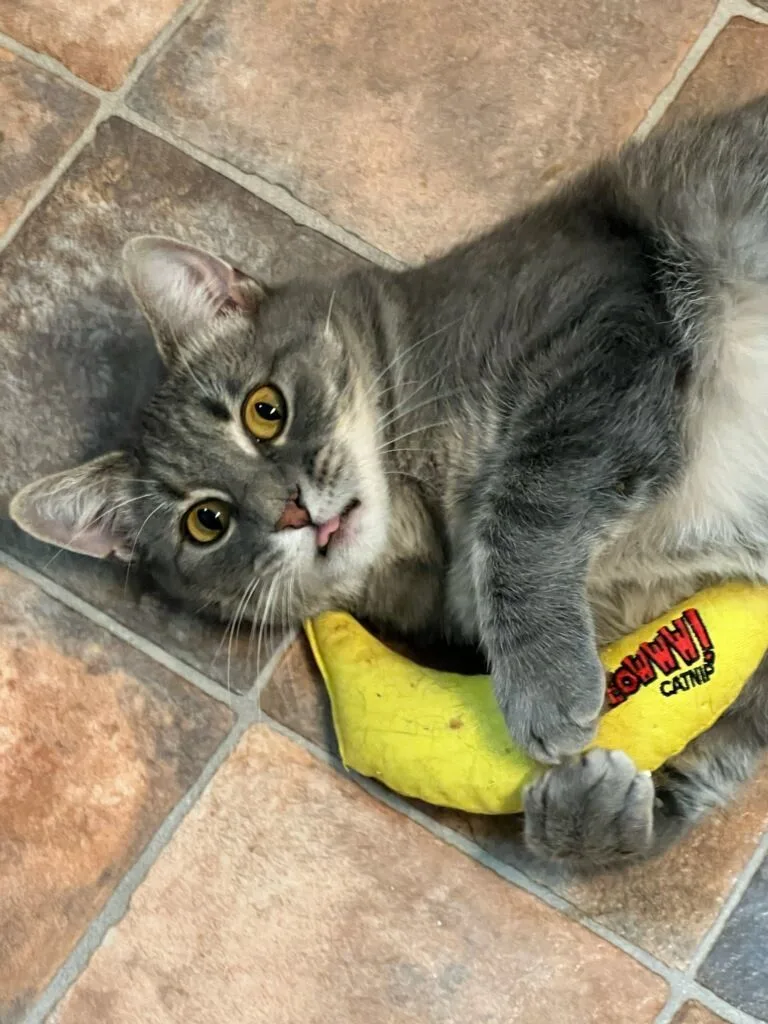 Molly Magee thumbnail 6