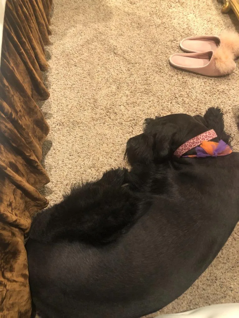 Pepper thumbnail 2