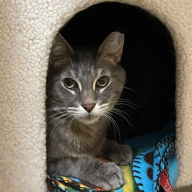 Baby Boy thumbnail 2