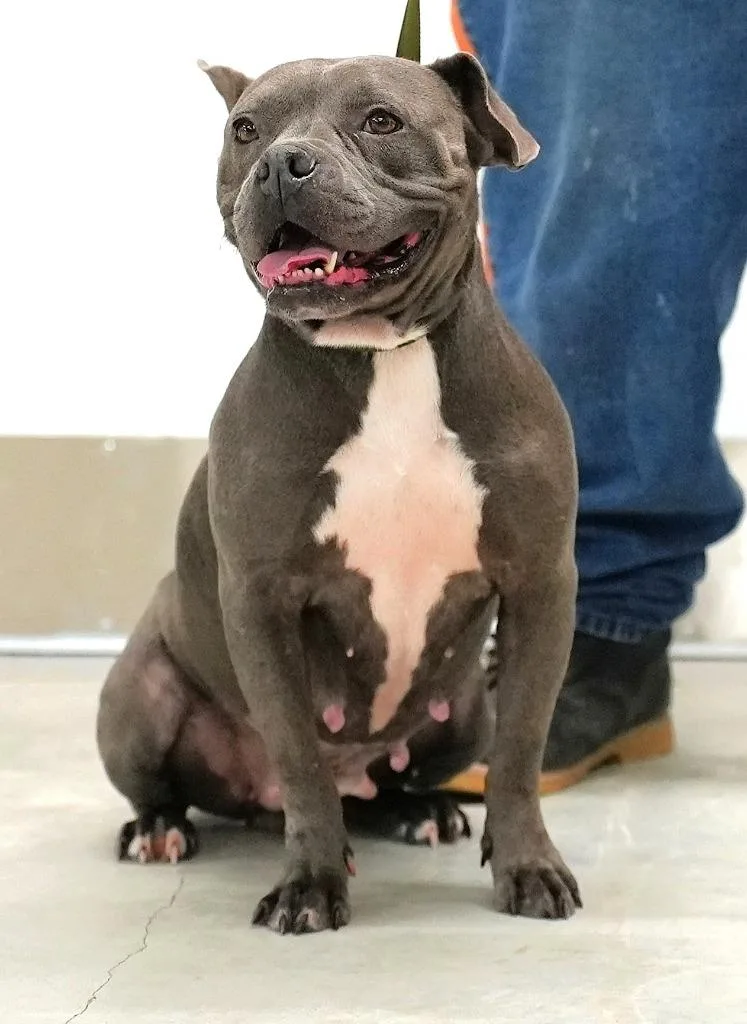 Roxy