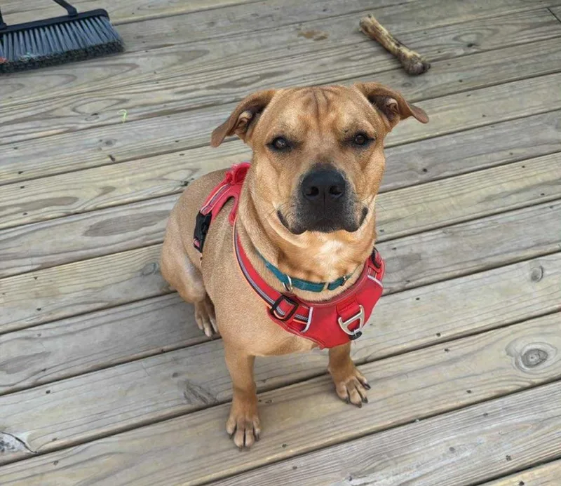 Sos! Mateo  The thumbnail 4