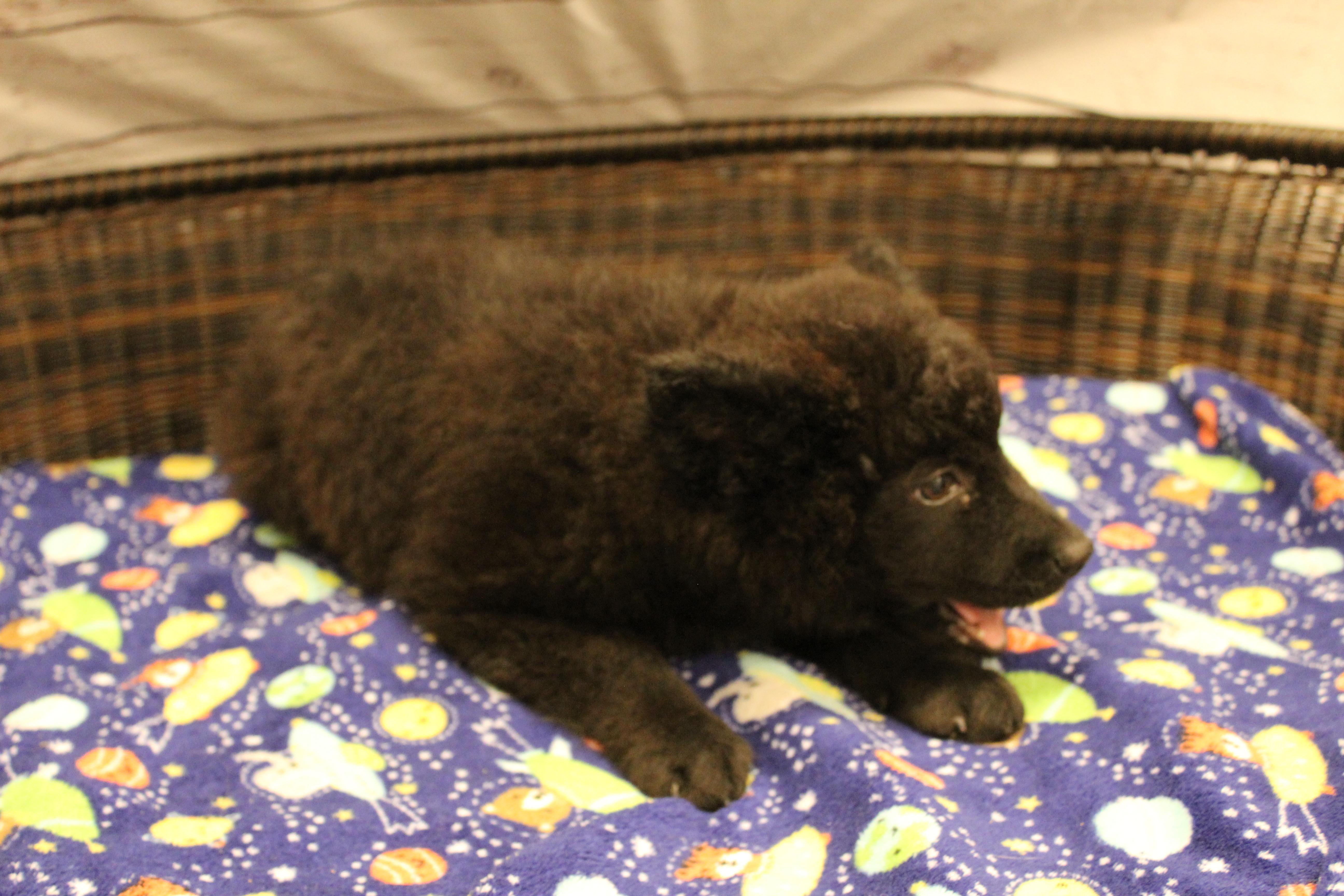 Fiona thumbnail 4