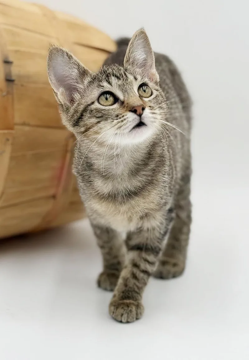 Luna Is A Love thumbnail 2