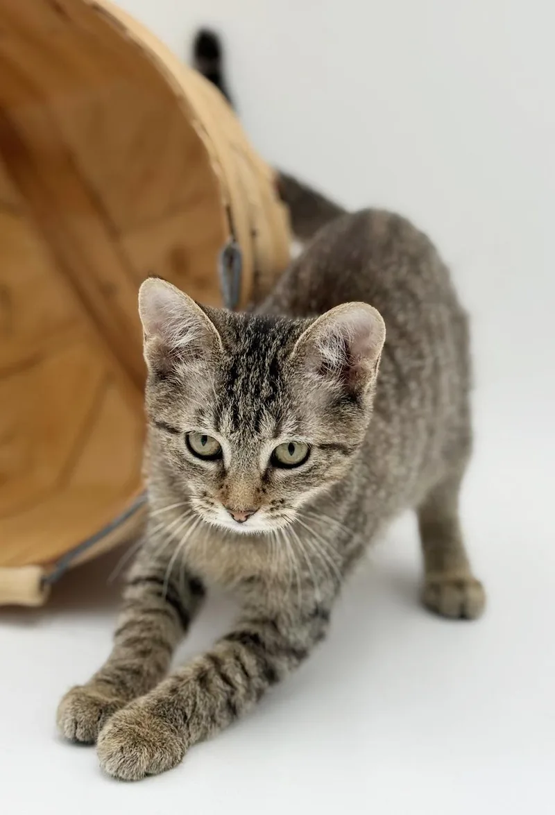 Luna Is A Love thumbnail 3