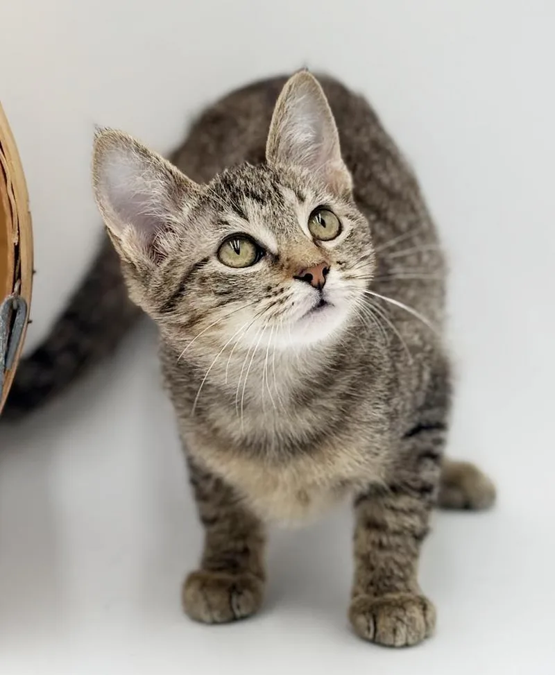 Luna Is A Love thumbnail 4