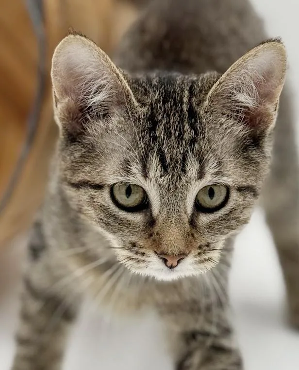 Luna Is A Love thumbnail 6