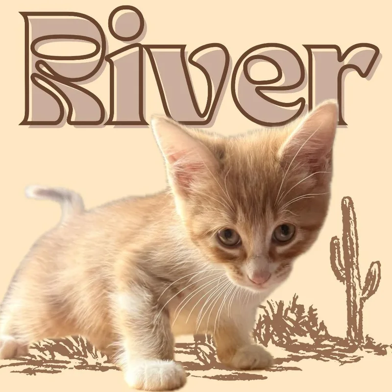 River AM thumbnail 2