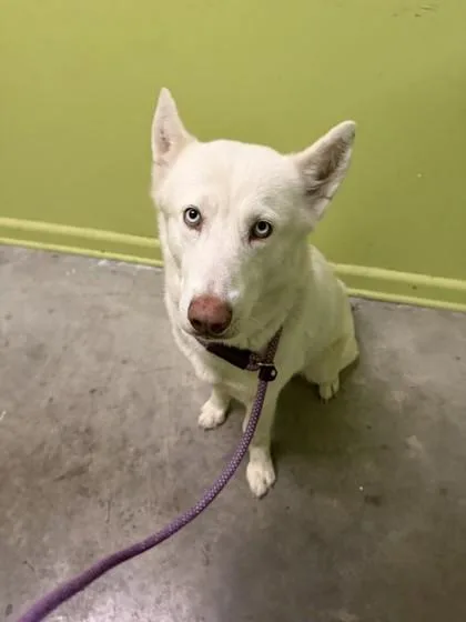 Freegirl thumbnail 2