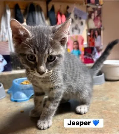 Ivy And Jasper thumbnail 4