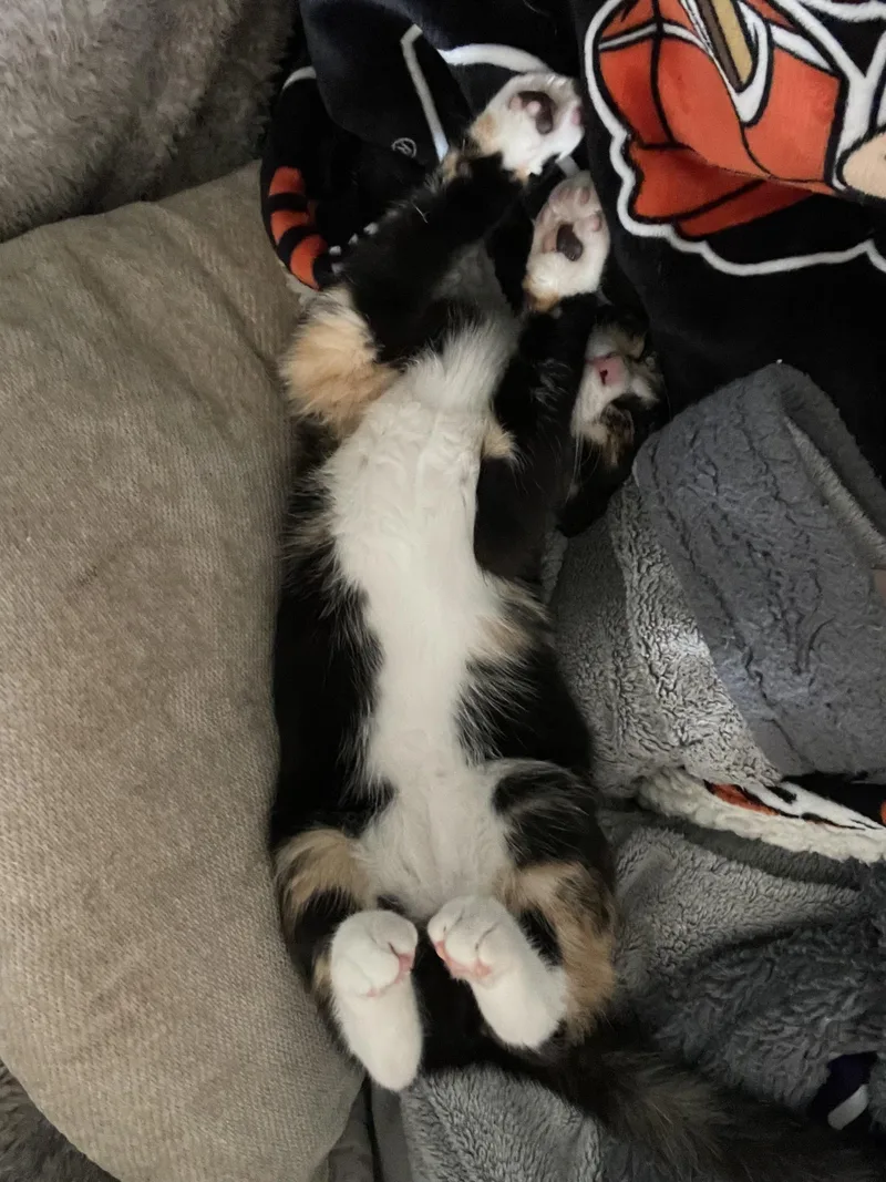 Peaches thumbnail 4