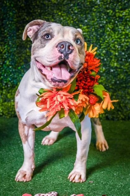 Patricio thumbnail 2