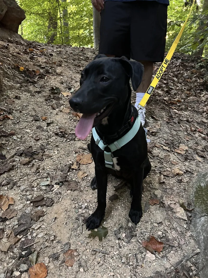 Divorce Attorney thumbnail 3