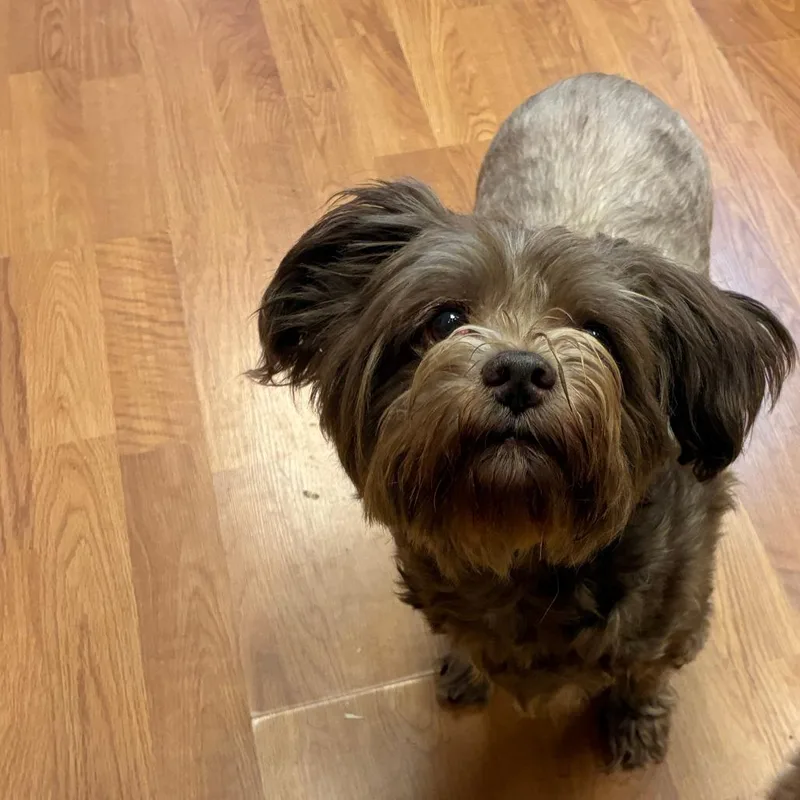 Coco