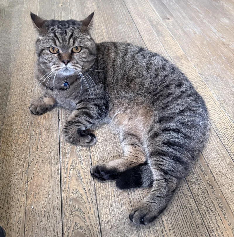 Doux & Suave thumbnail 2