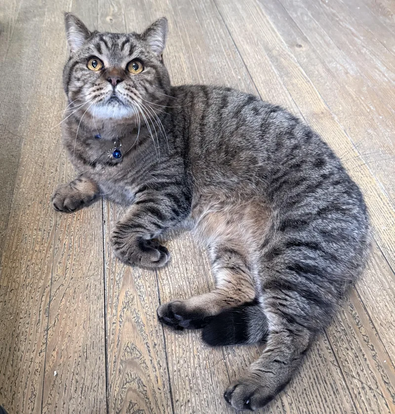 Doux & Suave thumbnail 3