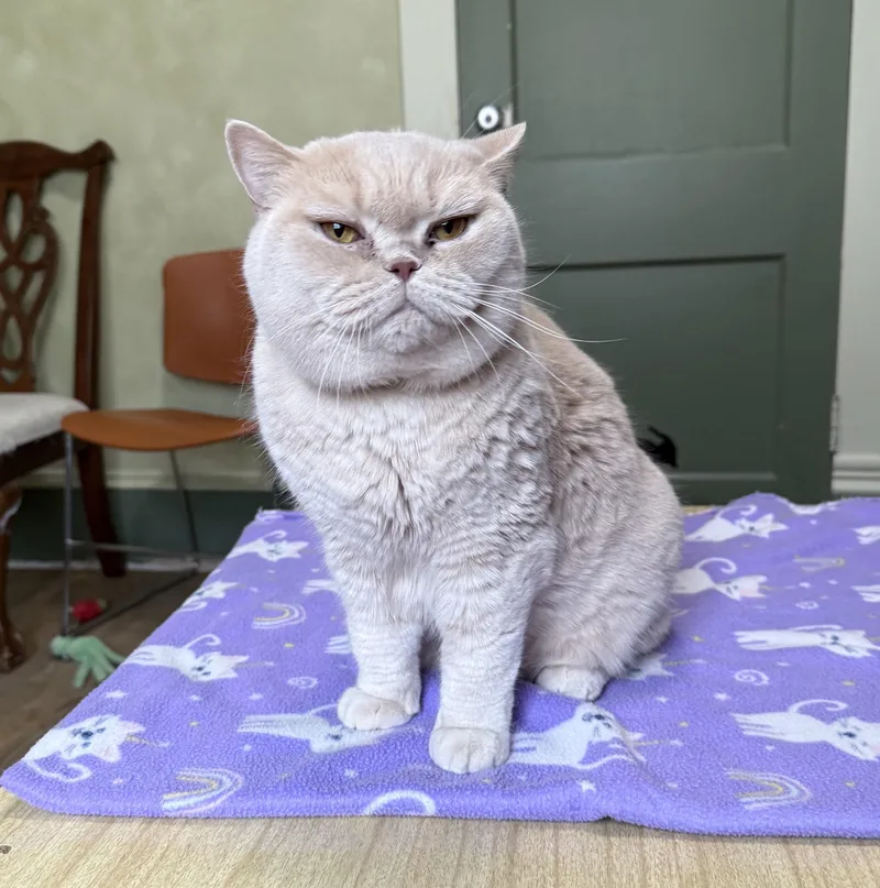 Doux & Suave thumbnail 4