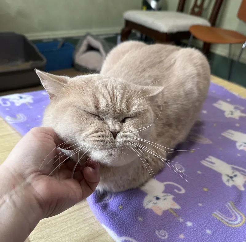 Doux & Suave thumbnail 5