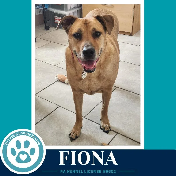 Fiona