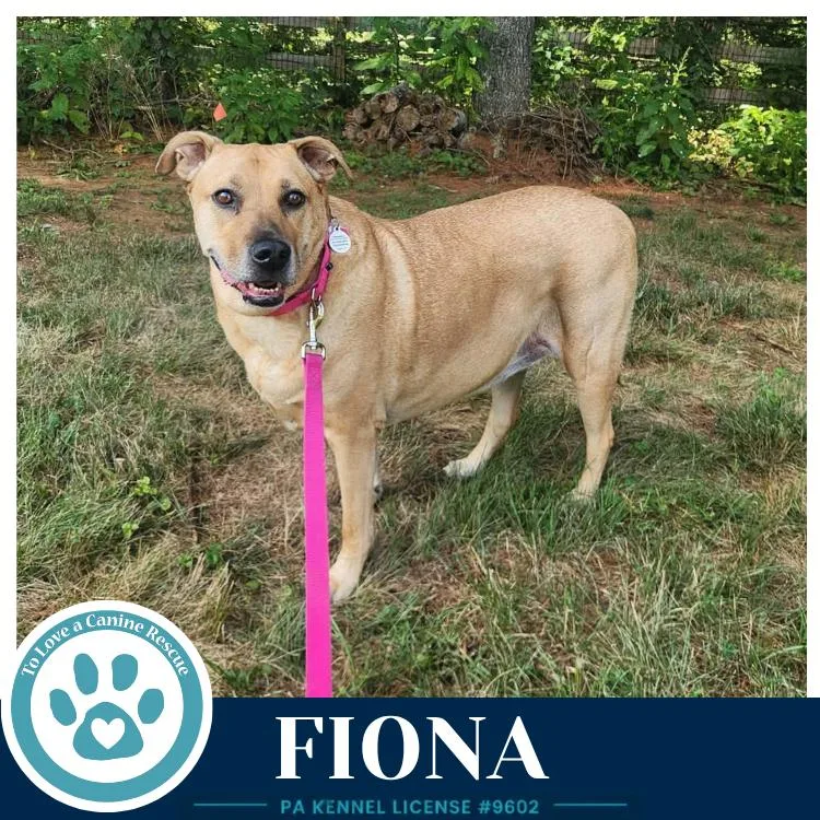 Fiona thumbnail 2