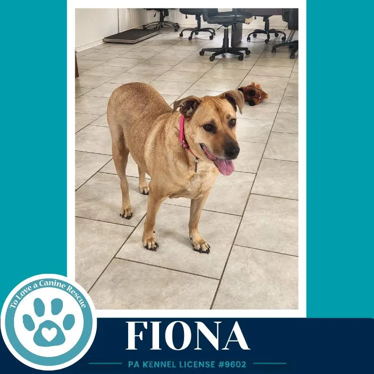 Fiona thumbnail 3